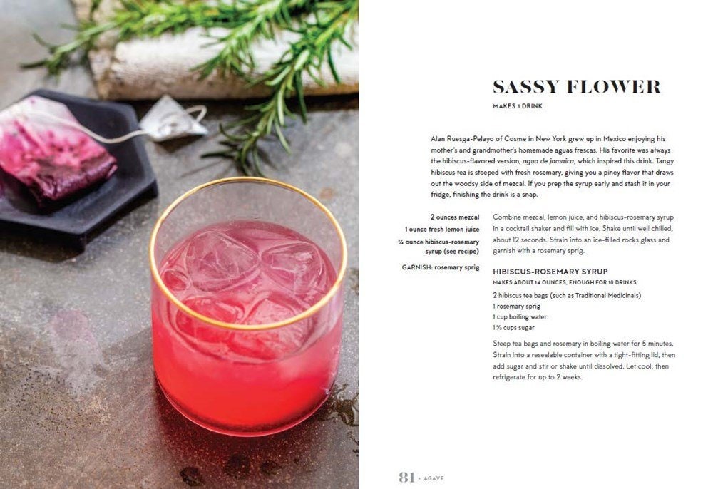 One Bottle Cocktail Book - Raise The Bar Lux  